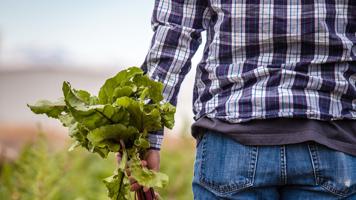 The Importance of Eating Local: How to Support Your Local Farmers and Community